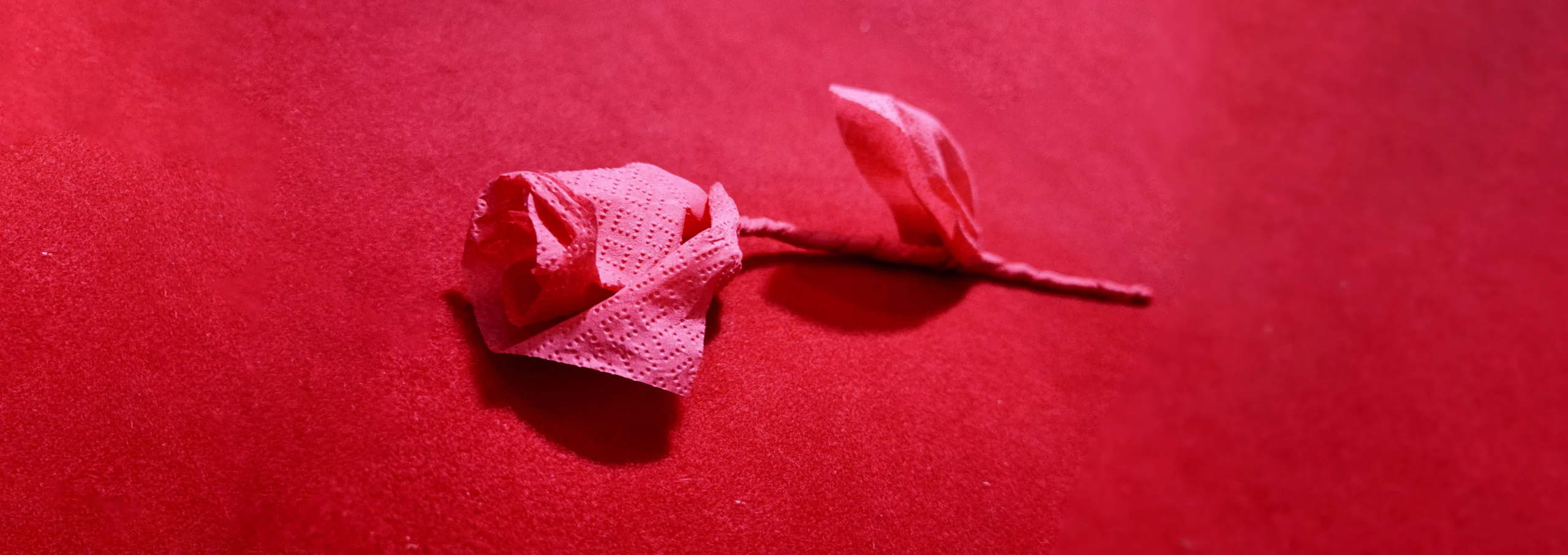 Serviettenrose